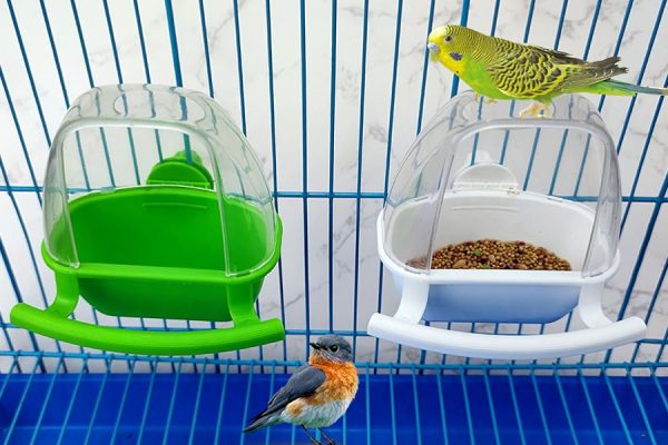 bird food bowl